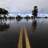 Cảnh ngập lụt tại khu vực Lawrence, New South Wales, Australia, ngày 1/3/2022. (Ảnh: AFP/TTXVN)