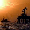 Các giếng dầu ở hồ Maracaibo, phía tây Venezuela. (Nguồn: AP)