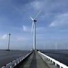 Nhà máy Điện gió Bạc Liêu có 62 turbin điện với tổng công suất dự tính 99MW. (Ảnh: Phan Tuấn Anh/TTXVN)