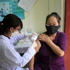 Nhân viên Trạm y tế phường Lam Sơn, thành phố Thanh Hóa tiêm vaccine phòng dịch COVD-19 cho người dân. (Ảnh: Nguyễn Nam/TTXVN)