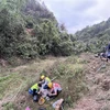 Lực lượng cứu hộ làm nhiệm vụ tại hiện trường vụ rơi máy bay của hãng hàng không China Eastern Airlines tại khu tự trị dân tộc Choang Quảng Tây, Trung Quốc, ngày 22/3/2022. (Ảnh: THX/TTXVN)