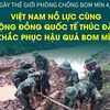 Việt Nam nỗ lực cùng quốc tế thúc đẩy khắc phục hậu quả bom mìn