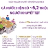 [Infographics] Cả nước hiện có khoảng 6,2 triệu người khuyết tật