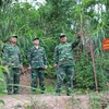 Cán bộ đồn biên phòng Chi Ma, Lạng Sơn tuần tra ngăn chặn hành vi xuất nhập cảnh trái phép trên đường mòn biên giới. (Ảnh: Quang Duy/TTXVN)