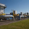Đường ống dẫn khí đốt tại cơ sở dự trữ ngầm Bilche-Volytsko-Uherske ở Lviv, miền Tây Ukraine. (Ảnh: AFP/TTXVN)