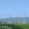 NPMB đã hoàn thành treo dây mạch 2 đường dây 220kV Thanh Hóa-Nghi Sơn-Quỳnh Lưu