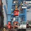 Hoạt động bốc dỡ hàng hóa tại Tân cảng Cát Lái, Tổng Công ty Tân cảng Sài Gòn. (Ảnh: Quang Châu/TTXVN)