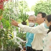 Các đại biểu tham quan khu trưng bày tác phẩm dự Hội thi hoa lan-bonsai thành phố Thủ Đức. (Ảnh: Xuân Anh/TTXVN)