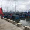 Cảng cá Tam Quan tại Bình Định là cảng cá loại II. (Ảnh: Phạm Kha/TTXVN)