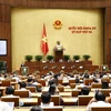 Bộ trưởng Bộ Công thương Nguyễn Hồng Diên, thừa ủy quyền của Thủ tướng Chính phủ trình bày Tờ trình dự án Luật Dầu khí. (Ảnh: Doãn Tấn/TTXVN)