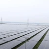 Những tấm pin năng lượng mặt trời của Nhà máy điện mặt trời Gio Thành 1, Quảng Trị. (Ảnh: Nguyên Lý/TTXVN)