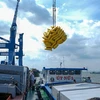 Bốc dỡ hàng hóa tại cảng Tân Cảng Cái Cui, thành phố Cần Thơ. (Ảnh: Thanh Liêm/TTXVN)