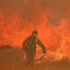 Nhân viên cứu hỏa nỗ lực khống chế các đám cháy rừng ở Pumarejo de Tera, bắc Tây Ban Nha, ngày 18/6/2022. (Ảnh: AFP/TTXVN)