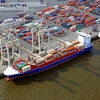 Các container hàng hóa tại cảng biển Hamburg của Đức. (Nguồn: bulk-distributor.com)