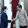 Bộ trưởng Ngoại giao Bùi Thanh Sơn tiếp kiến Tổng thống Indonesia Joko Widodo (Ảnh: TTXVN phát)