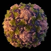 Hình ảnh mô tả virus bại liệt. (Nguồn: AP)