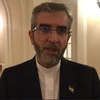 Trưởng đoàn đàm phán hạt nhân Iran, Thứ trưởng Ngoại giao Ali Bagheri Kani. (Ảnh: IRNA/TTXVN)