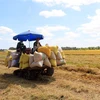 Thu hoạch lúa tại xã Hậu Lộc, huyện Tam Bình, tỉnh Vĩnh Long. (Ảnh: Phạm Minh Tuấn/TTXVN)