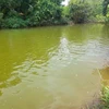 Hồ Suối Giai giáp với Đập Bà Mụ tại khu phố Tân Liên, thị trấn Tân Phú vừa xảy ra tai nạn trẻ em đuối nước. (Ảnh: TTXVN phát)