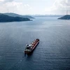 Tàu Razoni chở ngũ cốc của Syria di chuyển dọc Eo biển Bosphorus ở Istanbul, Thổ Nhĩ Kỳ, ngày 3/8/2022. (Ảnh: AFP/TTXVN)