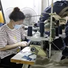 Sản xuất hàng may mặc xuất khẩu sang Hàn Quốc tại Công ty TNHH May mặc Hồng Quang. (Ảnh: Trần Việt/TTXVN)