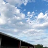 Chiếc máy bay nhỏ bay lòng vòng quanh thành phố Tupelo, bang Mississippi và đe dọa đâm vào một cửa hàng Walmart. (Nguồn: AP)