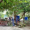 Cán bộ, chiến sỹ trên huyện đảo Trường Sa tích cực triển khai các phương án phòng, chống bão. (Ảnh: TTXVN phát)