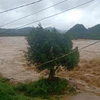 Đến trưa 29/9, mực nước sông Giăng đoạn qua huyện Con Cuông, Nghệ An, vẫn đang dâng cao, kéo theo nhiều nguy cơ lũ quét, sạt lở 2 bên bờ sông. (Ảnh : TTXVN phát)