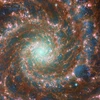 Hình ảnh quang học/hồng ngoại kết hợp về Thiên hà Phantom (M74) bao gồm dữ liệu từ kính thiên văn Hubble và kính thiên văn James Webb ngày 29/8. (Nguồn: NASA/ESA/CSA)