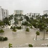 Ngập lụt trên đường phố ở Naples, bang Florida (Mỹ) do mưa lớn khi bão Ian đổ bộ, ngày 29/9/2022. (Ảnh: THX/TTXVN)