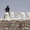 Các bao bột mỳ của Chương trình Lương thực Thế giới (WFP) được chuyển tới cảng Hodeidah, để phân phát cho người dân Yemen. (Ảnh: THX/TTXVN)