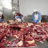 Mỹ: Phát hiện đường dây trộm cắp thịt bò đông lạnh trị giá 9 triệu USD