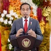 Tổng thống Indonesia Joko Widodo. (Ảnh: AFP/TTXVN)