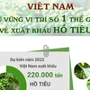 Việt Nam giữ vững vị trí số 1 thế giới về xuất khẩu hồ tiêu