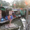 Làng chài mom sông Tam Bạc với hơn 60 hộ dân sinh sống trên các con thuyền là làng chài duy nhất còn sót lại giữa lòng thành phố Hải Phòng sôi động. (Ảnh: Hoàng Ngọc/TTXVN)