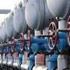 Hệ thống đường ống dẫn khí của Nga. (Ảnh: TASS/TTXVN) 