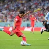 Pha sút bóng của cầu thủ Hàn Quốc Na Sang-ho trong trận đấu với Uruguay. (Ảnh: THX/TTXVN)