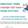 Tình hình phát triển doanh nghiệp Việt Nam giai đoạn 2016-2022