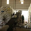 Kim ngạch xuất khẩu gạo 11 tháng năm 2022, đạt hơn 3,2 tỷ USD (tăng 6,9%) so với cùng kỳ năm trước. (Ảnh: Vũ Sinh/TTXVN)