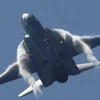 Máy bay chiến đấu JF-17 Thunder do Trung Quốc bán cho Không quân Pakistan. (Ảnh: Reuters)