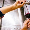 Morne Vrey, một nhà sản xuất rượu vang, chuẩn bị nếm thử rượu vang đỏ lấy từ một bể chứa tại Delaire Graff Estate ở Stellenbosch, Nam Phi. (Ảnh: Getty Images)