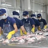 Chế biến cá da trơn tại Công ty Cổ phần Gò Đàng, Khu Công nghiệp Mỹ Tho, Tiền Giang. (Ảnh: Minh Trí/TTXVN)
