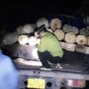 Quảng Ngãi: "Lâm tặc" đánh kiểm lâm, nhân viên bảo vệ rừng nhập viện
