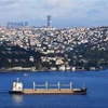 Tàu chở ngũ cốc di chuyển dọc Eo biển Bosphorus ở Istanbul, Thổ Nhĩ Kỳ, ngày 7/8/2022. (Ảnh: THX/TTXVN)