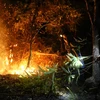 Hiện trường một đám cháy rừng trong đêm tại xã Noong Luống tháng 5/2019. (Ảnh: Tuấn Anh/TTXVN)