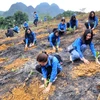 [Photo] Thanh niên TTXVN trồng 11.000 cây xanh tại tỉnh Hòa Bình
