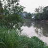 Đoạn sông Cao Lãnh, nơi xuồng bị chìm khiến anh Đ.H.N tử vong. (Ảnh: Nhựt An/TTXVN)