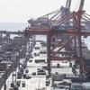 Hàng hóa tại cảng container ở Busan, Hàn Quốc. (Ảnh: Yonhap/TTXVN