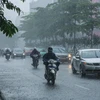 Không khí lạnh gây mưa ở một số khu vực tại Bắc Bộ. (Ảnh: Minh Sơn/Vietnam+)