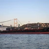 Tàu chở ngũ cốc của Ukraine di chuyển qua Eo biển Bosphorus ở Istanbul, Thổ Nhĩ Kỳ ra khu vực biển Marmara, ngày 2/11/2022. (Ảnh: AFP/TTXVN)